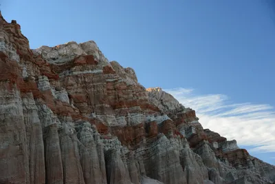 DSC_0267 (Large).JPG